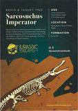 20193 - Outstanding Sarcosuchus imperator Crocodile partial Maxillary - Lower Cretaceous Elrhaz Fm