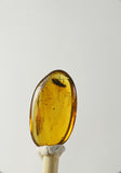 01035 - Rare Unidentified 0.58 Inch Baltic Amber With An Inclusion Of Fossil Insect ¿Coleoptera?