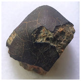 13032 A29 -  Fresh Crusted NWA 13860 LL6 Ordinary Chondrite Meteorite 10.78g MAIN MASS