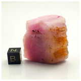 SWJ0060 - Top Rare Kunzite (Spodumene) Rough Specimen from Nigeria