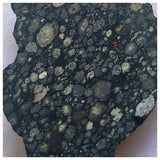 14000 A43 -''NWA 13258'' CVox3 Carbonaceous Chondrite Meteorite 3.44g Polished Endcut