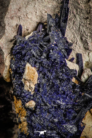 07619 - Beautiful Deep Blue Azurite Crystals on Carbonate Matrix - Kerrouchen (Morocco)