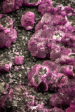 07632 -  Pink Cobaltoan Calcite Crystals on Matrix - Bou Azzer Mine (South Morocco)