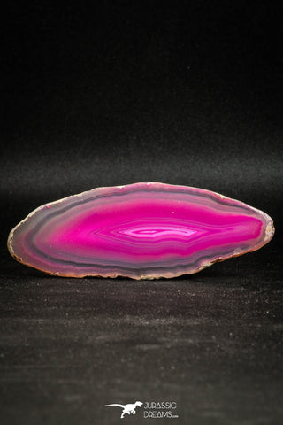 05080 -  Extremely Beautiful 3.66 Inch Brazilian Agate Slice (Chalcedony Geode Section)