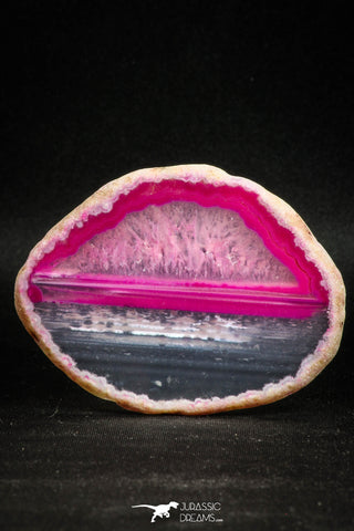 05081 -  Top Beautiful 2.83 Inch Brazilian Agate Slice (Chalcedony Geode Section)