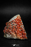 05087 - Beautiful Red Vanadinite Crystals Cluster from Mibladen Mining District, Midelt Province, Morocco