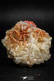 05090 - Beautiful Red Vanadinite Crystals Cluster from Mibladen Mining District, Midelt Province, Morocco