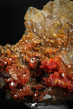 05091 - Beautiful Red Vanadinite Crystals Cluster from Mibladen Mining District, Midelt Province, Morocco