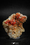 05091 - Beautiful Red Vanadinite Crystals Cluster from Mibladen Mining District, Midelt Province, Morocco