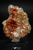 05091 - Beautiful Red Vanadinite Crystals Cluster from Mibladen Mining District, Midelt Province, Morocco