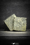 22101 - Beautiful 2.47 Inch Pyrite Crystals from famous Navajun Mines (Spain)