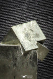 22104 - Beautiful 1.37 Inch Pyrite Crystals from famous Navajun Mines (Spain)