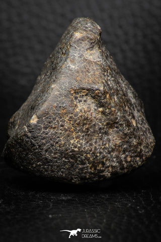 06581 - Fully Complete NWA L-H Type Unclassified Ordinary Chondrite Meteorite 69.0g