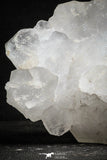 22202 - Superb 4.70 Inch Quartz Crystals - Imilchil (Morocco)