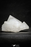 22202 - Superb 4.70 Inch Quartz Crystals - Imilchil (Morocco)