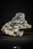 22204 - Galena Crystals + Quartz Crystals + Pyrite in Natural Matrix