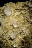 22212 - Beautiful 142.4 in Quartz Crystals in Natural Matrix - Imilchil (Morocco)