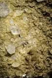 22212 - Beautiful 142.4 in Quartz Crystals in Natural Matrix - Imilchil (Morocco)