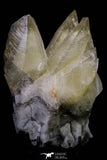 20800 - Top Beautiful Huge 5.61 Inch Calcite Crystals from South Morocco - New Location