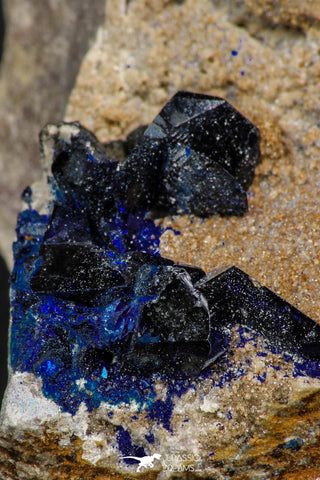 07805 - Beautiful Deep Blue Azurite Crystals on Carbonate Matrix - Kerrouchen (Morocco)