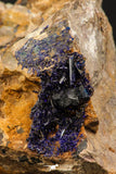 07807 - Beautiful Deep Blue Azurite Crystals on Carbonate Matrix - Kerrouchen (Morocco)