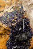 07807 - Beautiful Deep Blue Azurite Crystals on Carbonate Matrix - Kerrouchen (Morocco)