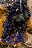 07807 - Beautiful Deep Blue Azurite Crystals on Carbonate Matrix - Kerrouchen (Morocco)