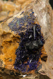 07807 - Beautiful Deep Blue Azurite Crystals on Carbonate Matrix - Kerrouchen (Morocco)