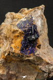 07807 - Beautiful Deep Blue Azurite Crystals on Carbonate Matrix - Kerrouchen (Morocco)