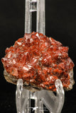 07725 - Top Beautiful 2.38 Inch Natural Quartz Crystals (hematoide variety) Jbel Saghro Mines