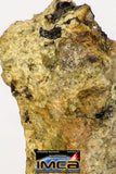 08961 - Fragment 0.462 g NWA Unclassified Diogenite Achondrite Meteorite