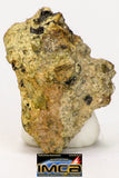 08961 - Fragment 0.462 g NWA Unclassified Diogenite Achondrite Meteorite