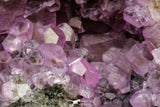 20858 - Pink Cobaltoan Calcite Crystals on Matrix - Bou Azzer Mine (South Morocco)