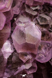 20858 - Pink Cobaltoan Calcite Crystals on Matrix - Bou Azzer Mine (South Morocco)