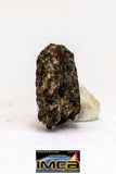 08987 - Top Rare 0.135 g NWA Unclassified Ureilite Achondrite Meteorite Polished Section