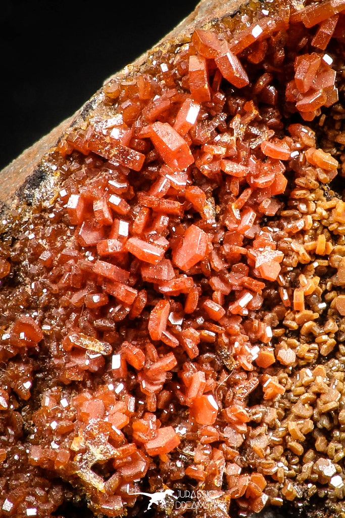 06259 -  Beautiful Red Vanadinite Crystals Cluster from Mibladen Mining District, Midelt Province, Morocco