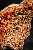 06259 -  Beautiful Red Vanadinite Crystals Cluster from Mibladen Mining District, Midelt Province, Morocco