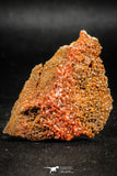 06261 -  Beautiful Red Vanadinite Crystals Cluster from Mibladen Mining District, Midelt Province, Morocco