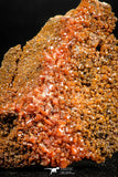 06261 -  Beautiful Red Vanadinite Crystals Cluster from Mibladen Mining District, Midelt Province, Morocco