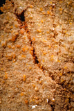 06261 -  Beautiful Red Vanadinite Crystals Cluster from Mibladen Mining District, Midelt Province, Morocco