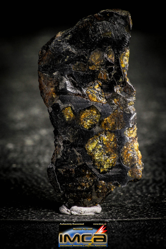 22299 - Sericho Pallasite Meteorite Polished Thin Section Fell in Kenya 10.054 g