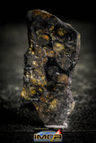 22299 - Sericho Pallasite Meteorite Polished Thin Section Fell in Kenya 10.054 g