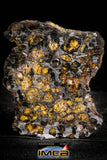 22301 - Sericho Pallasite Meteorite Polished Thin Section Fell in Kenya 43.823 g