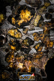 22301 - Sericho Pallasite Meteorite Polished Thin Section Fell in Kenya 43.823 g