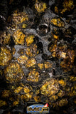 22301 - Sericho Pallasite Meteorite Polished Thin Section Fell in Kenya 43.823 g