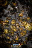 22301 - Sericho Pallasite Meteorite Polished Thin Section Fell in Kenya 43.823 g