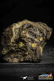 22386 - NWA Unclassified Chondrite LL3 Meteorite 167.4 g with Fusion Crust