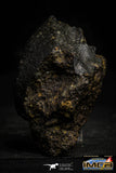22386 - NWA Unclassified Chondrite LL3 Meteorite 167.4 g with Fusion Crust