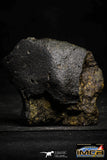 22386 - NWA Unclassified Chondrite LL3 Meteorite 167.4 g with Fusion Crust