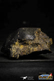 22386 - NWA Unclassified Chondrite LL3 Meteorite 167.4 g with Fusion Crust